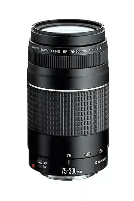 EF75-300MM F/4-5.6 III · imagen 1